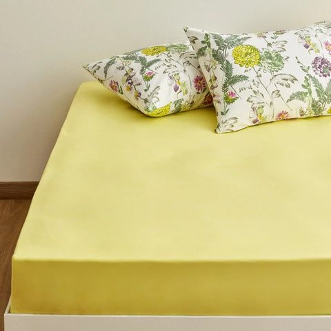 Sarah Anderson Blossom Ensemble de Housse de Couette Taille Double Multicolore