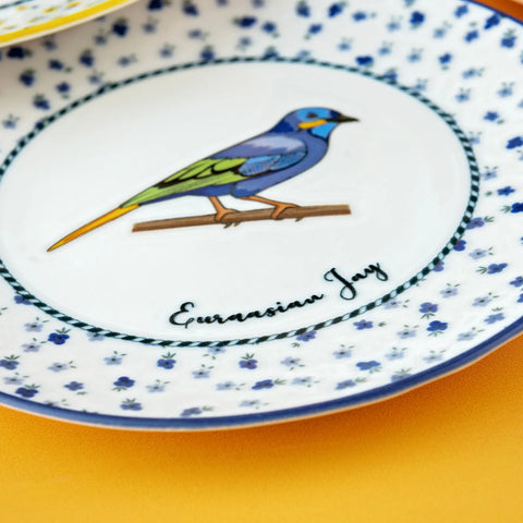 KARACA VOGEL PASTA SETİ, MULTICOLOR