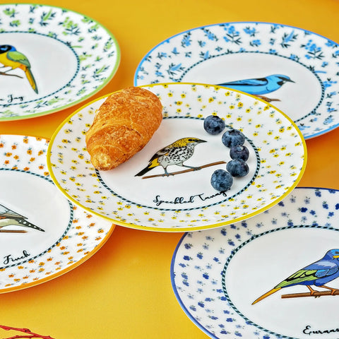 KARACA VOGEL PASTA SETİ, MULTICOLOR