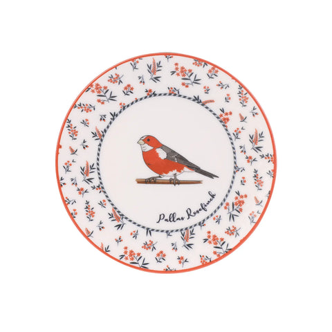 KARACA VOGEL PASTA SETİ, MULTICOLOR