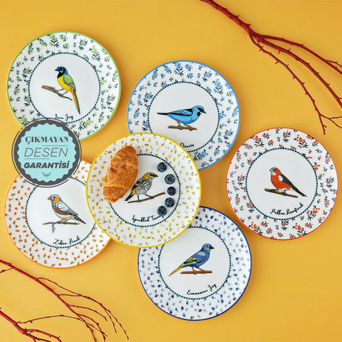 KARACA VOGEL PASTA SETİ, MULTICOLOR